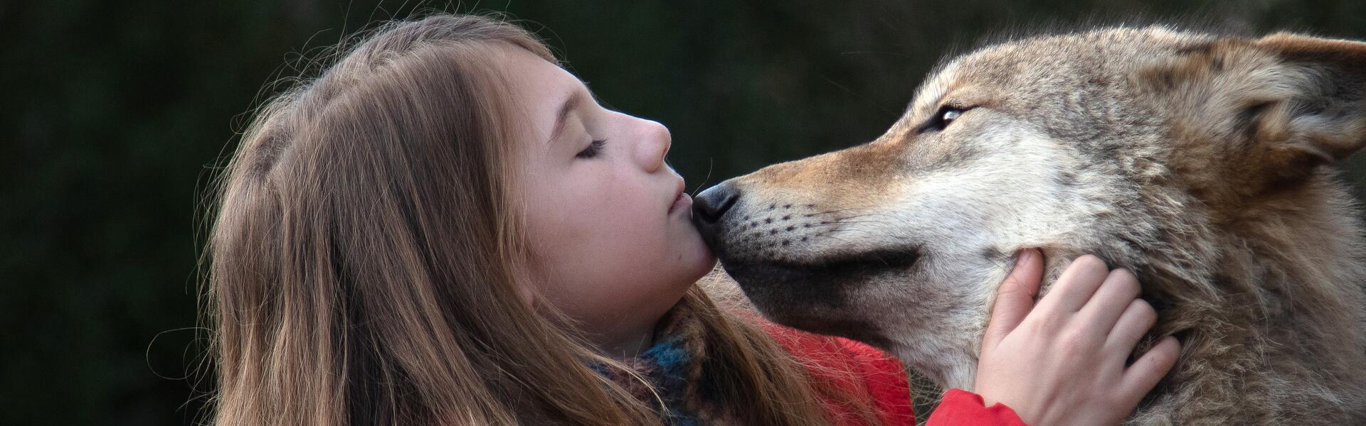 Sortie du film « Mystère » 6+