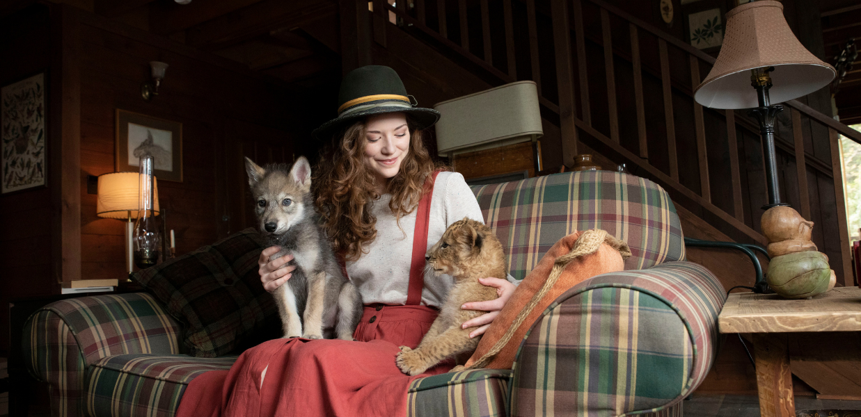 Выход фильма «Волк и лев»