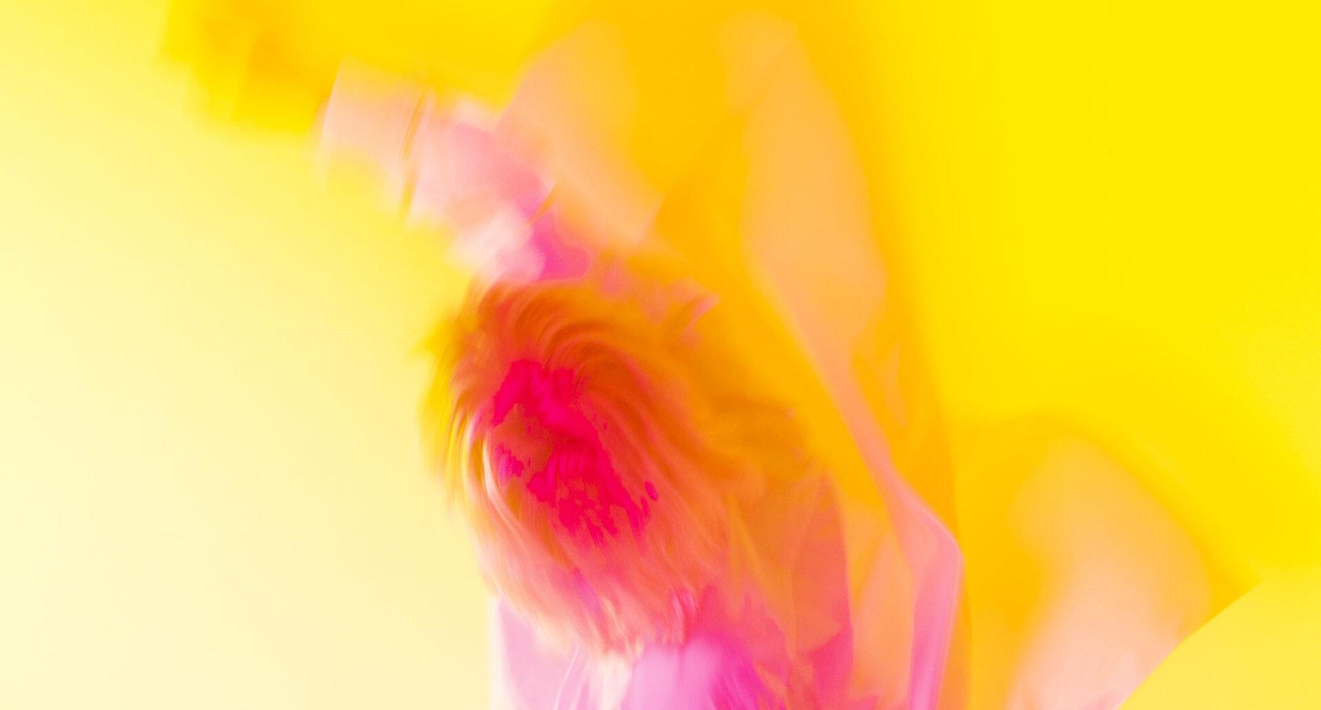 Онлайн-презентация цифровой платформы Numeridanse