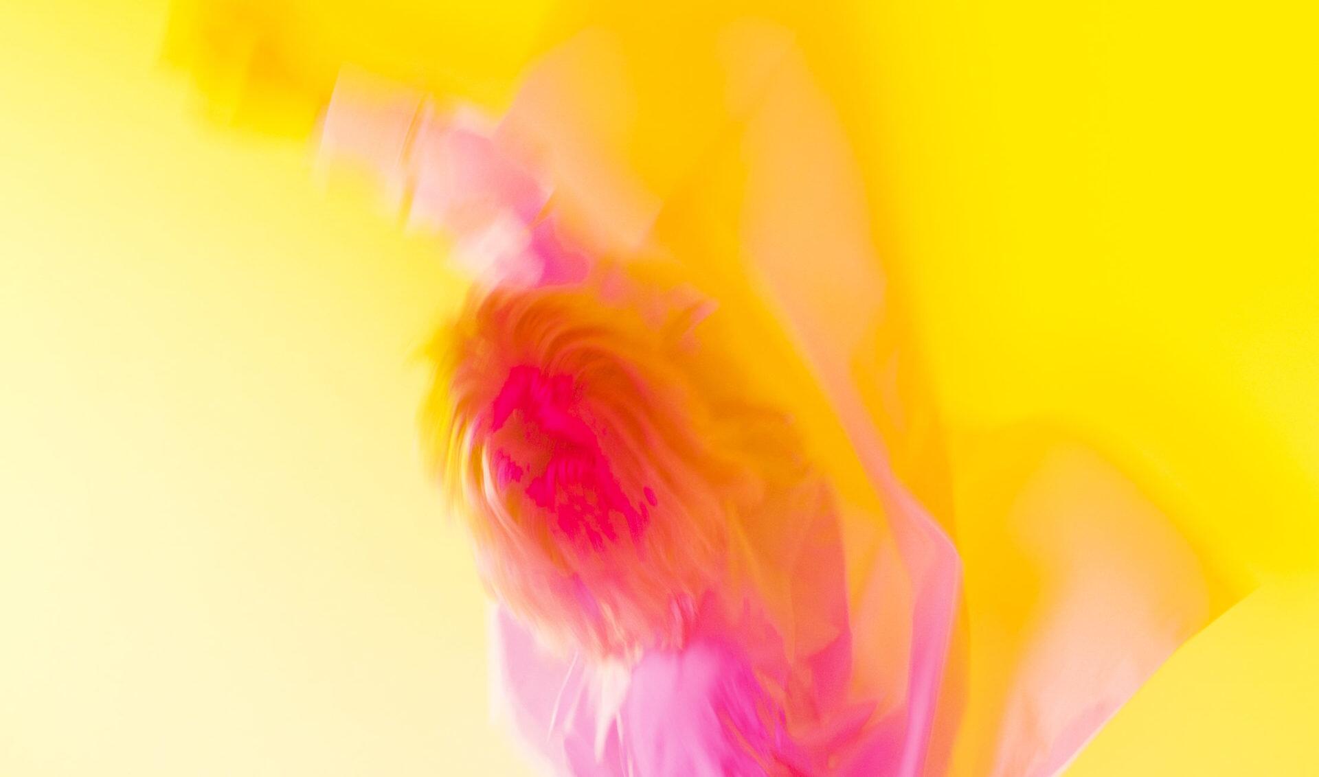 Présentation en ligne de la plateforme multimédia Numeridanse