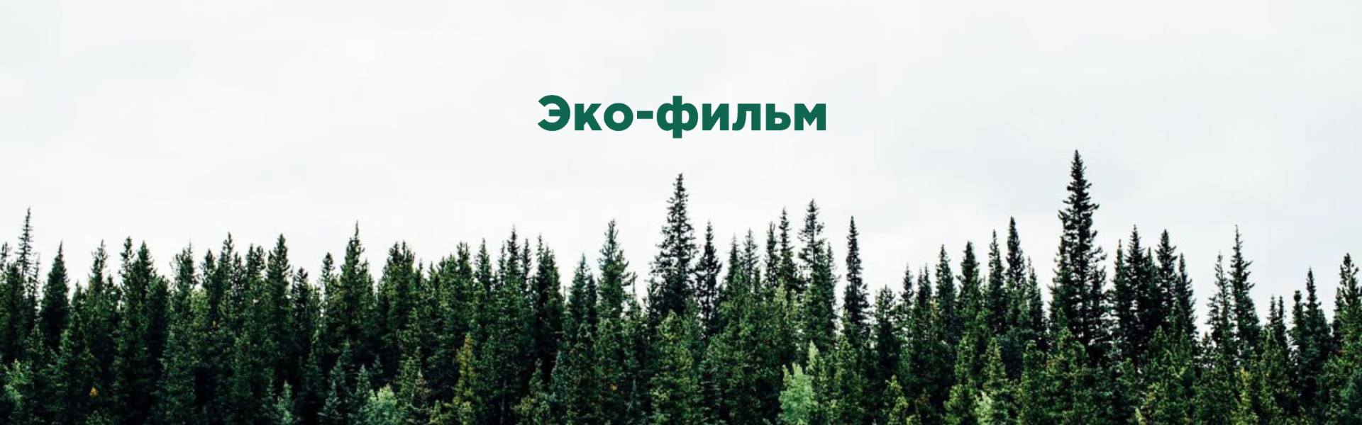Эко-фильм. Экологическое кино и кинопроизводство: лекторий, хакатон, фестиваль